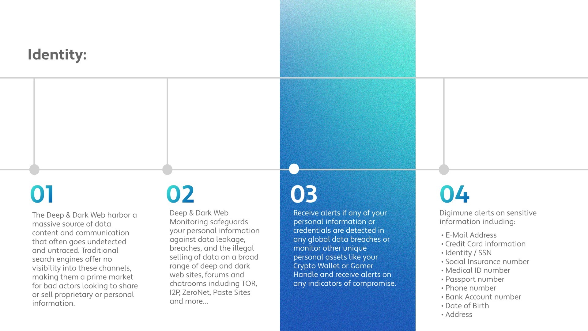 DigiGuard Identity Premium — features.