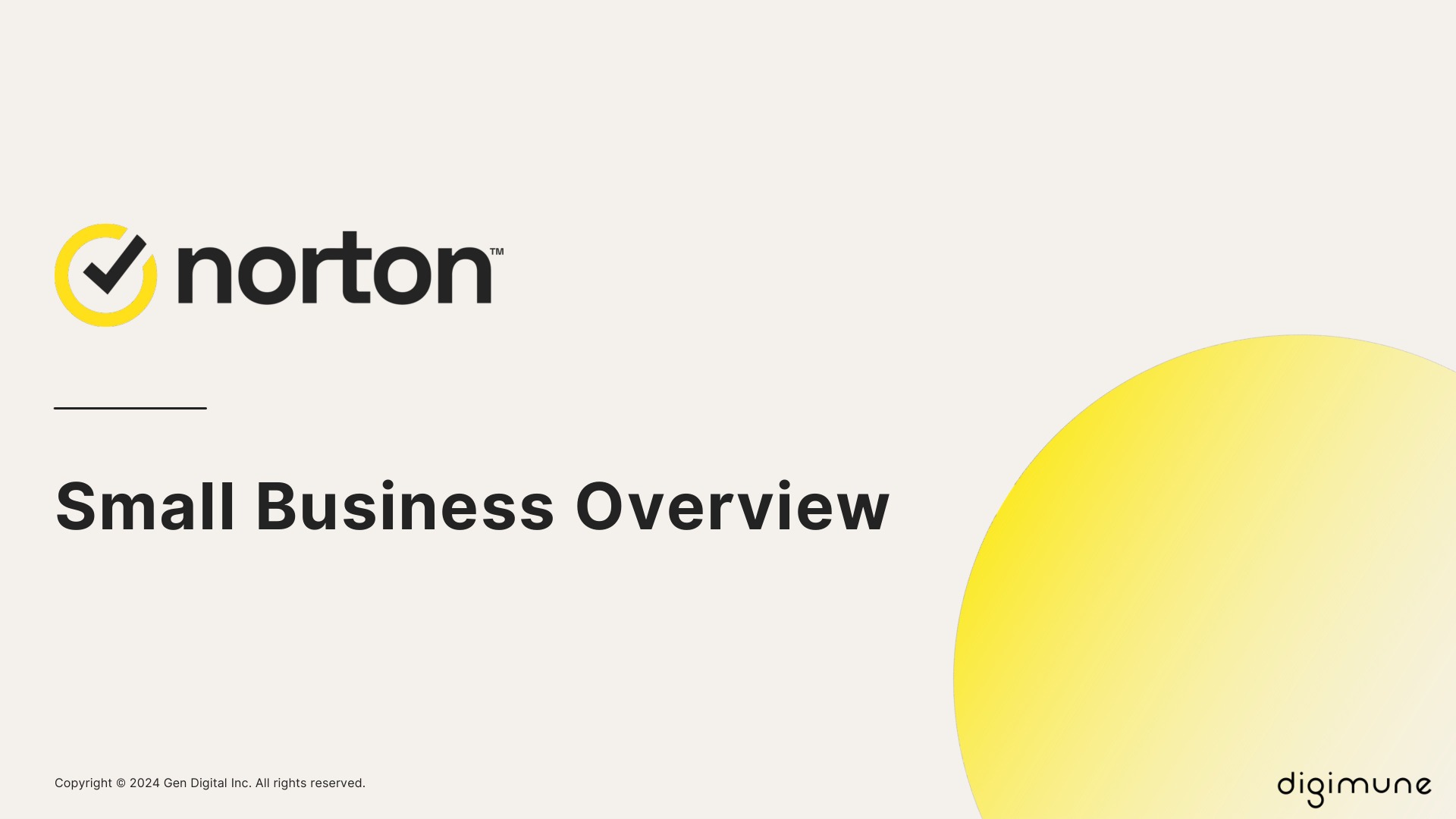 Norton Small Business Overview — section divider.
